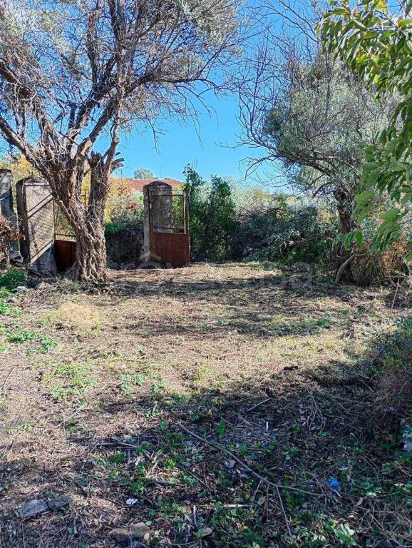 immagine annuncio 13 di 14