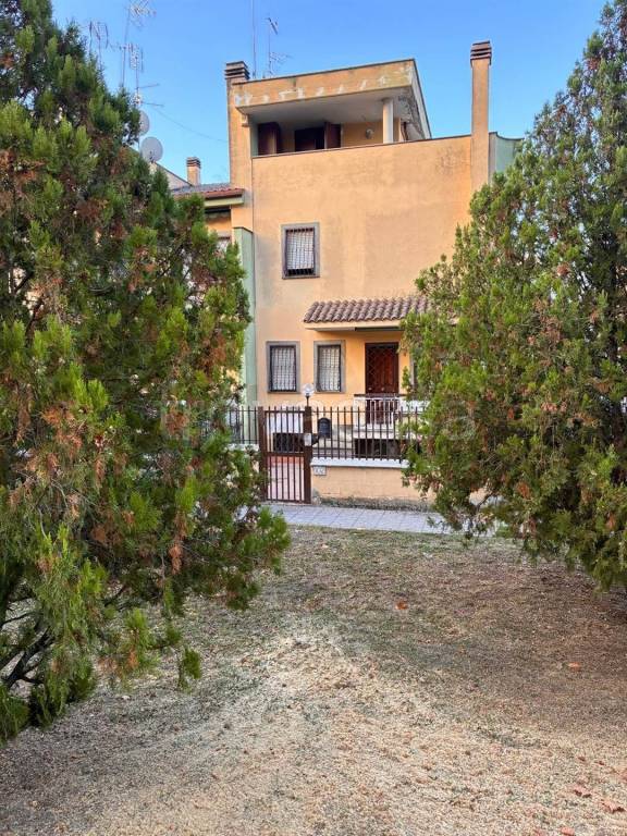 immagine annuncio 4 di 6