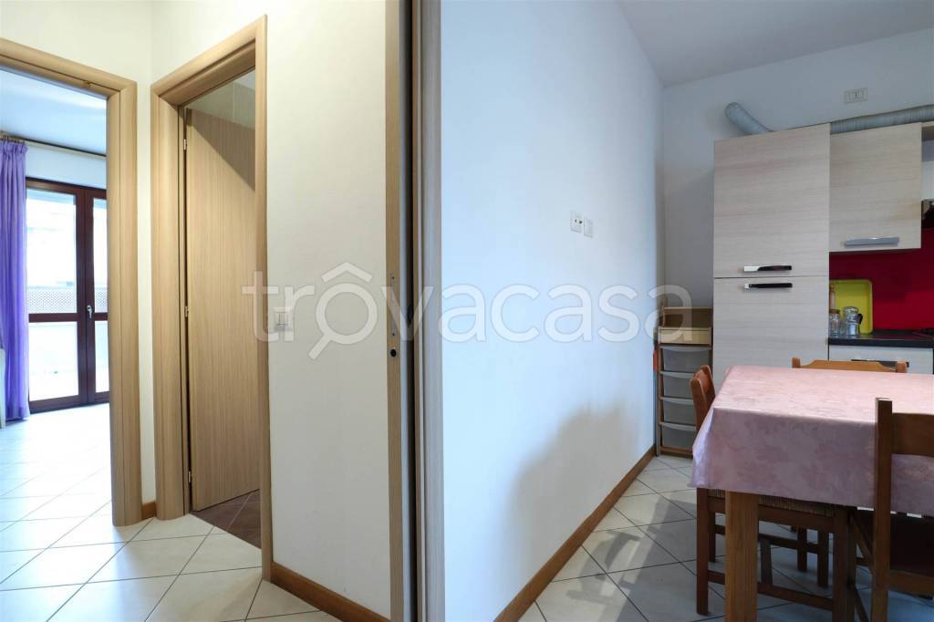 immagine annuncio 7 di 12