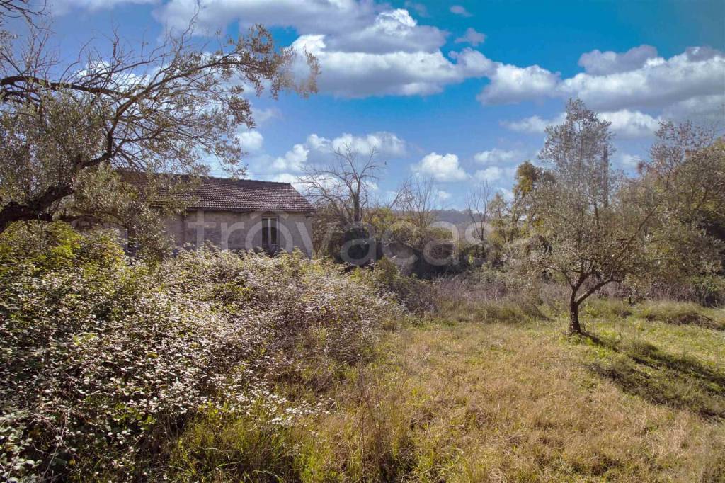 immagine annuncio 2 di 12