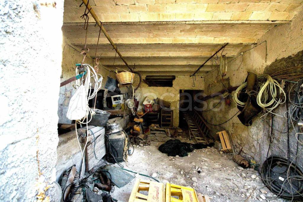 immagine annuncio 7 di 12