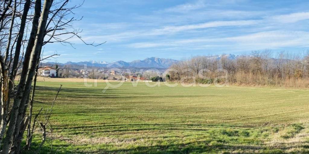 immagine annuncio 2 di 6