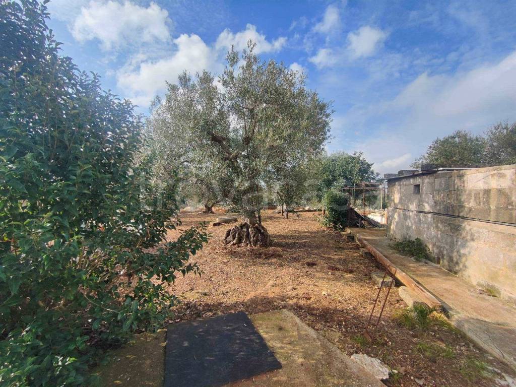 immagine annuncio 6 di 12