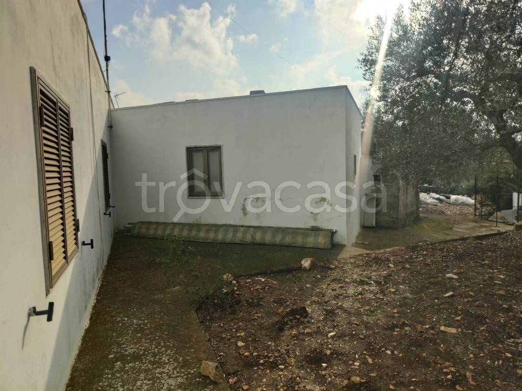 immagine annuncio 7 di 12