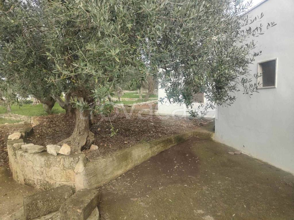 immagine annuncio 10 di 12