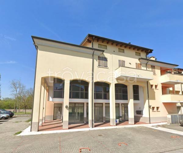 immagine annuncio 2 di 4