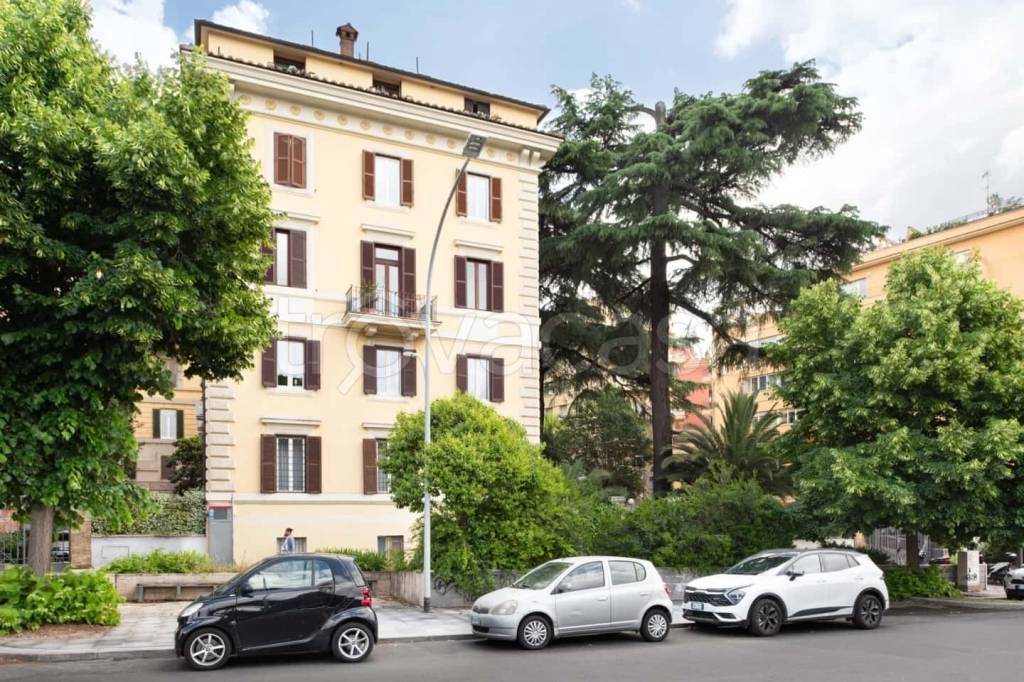 immagine annuncio 11 di 13