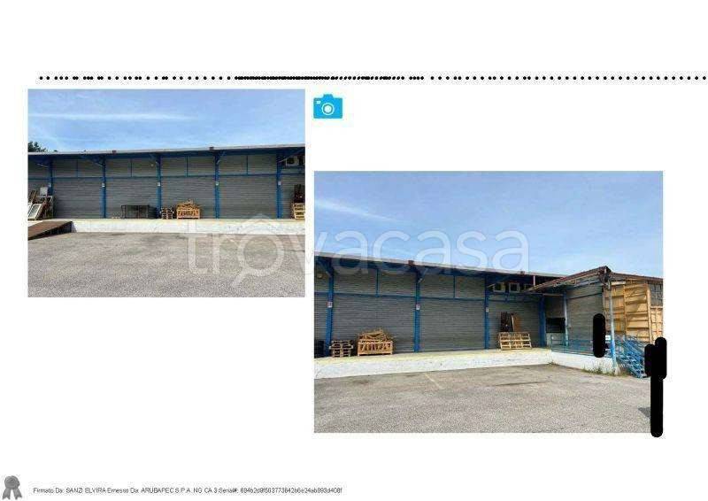 immagine annuncio 4 di 7