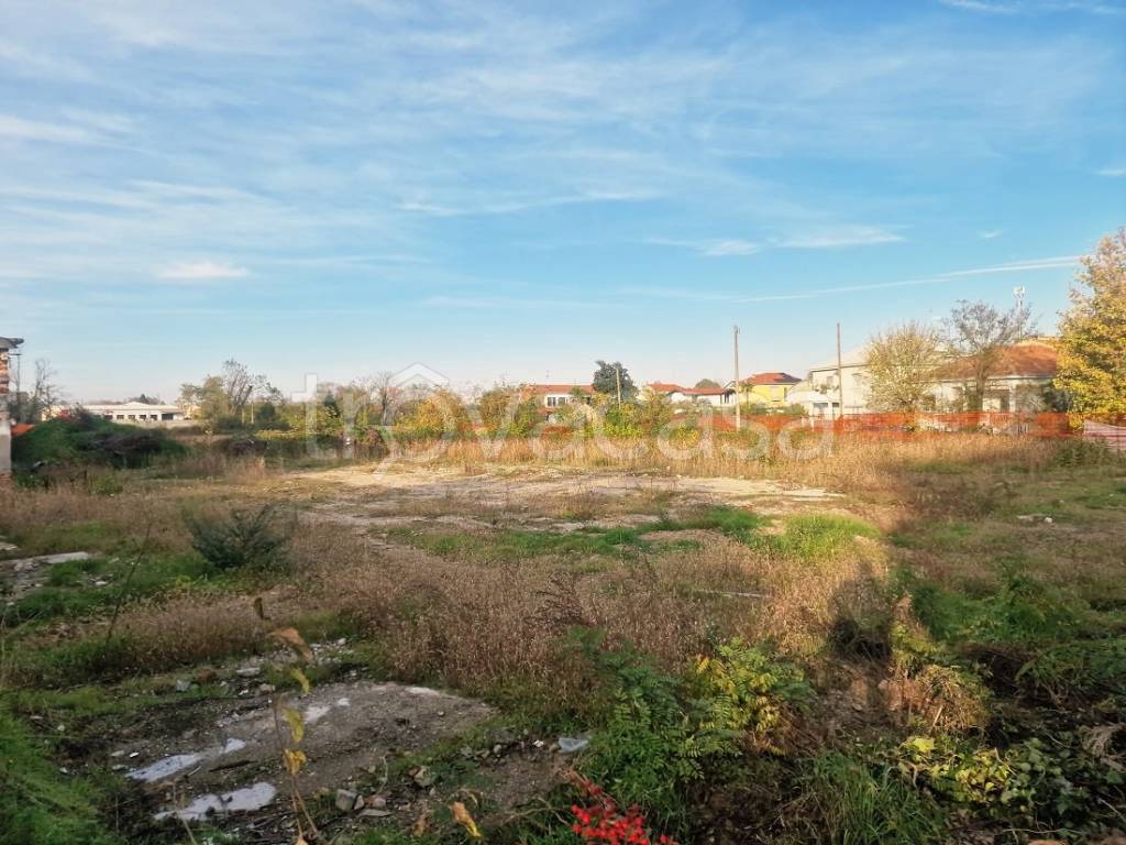 immagine annuncio 2 di 7