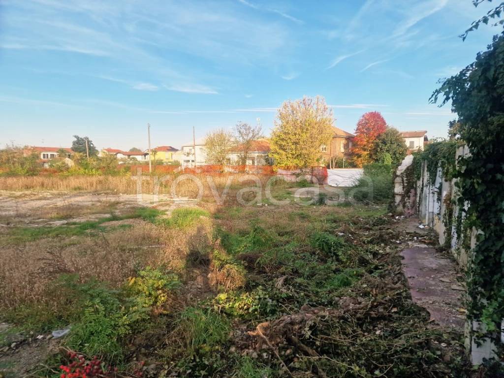 immagine annuncio 3 di 7