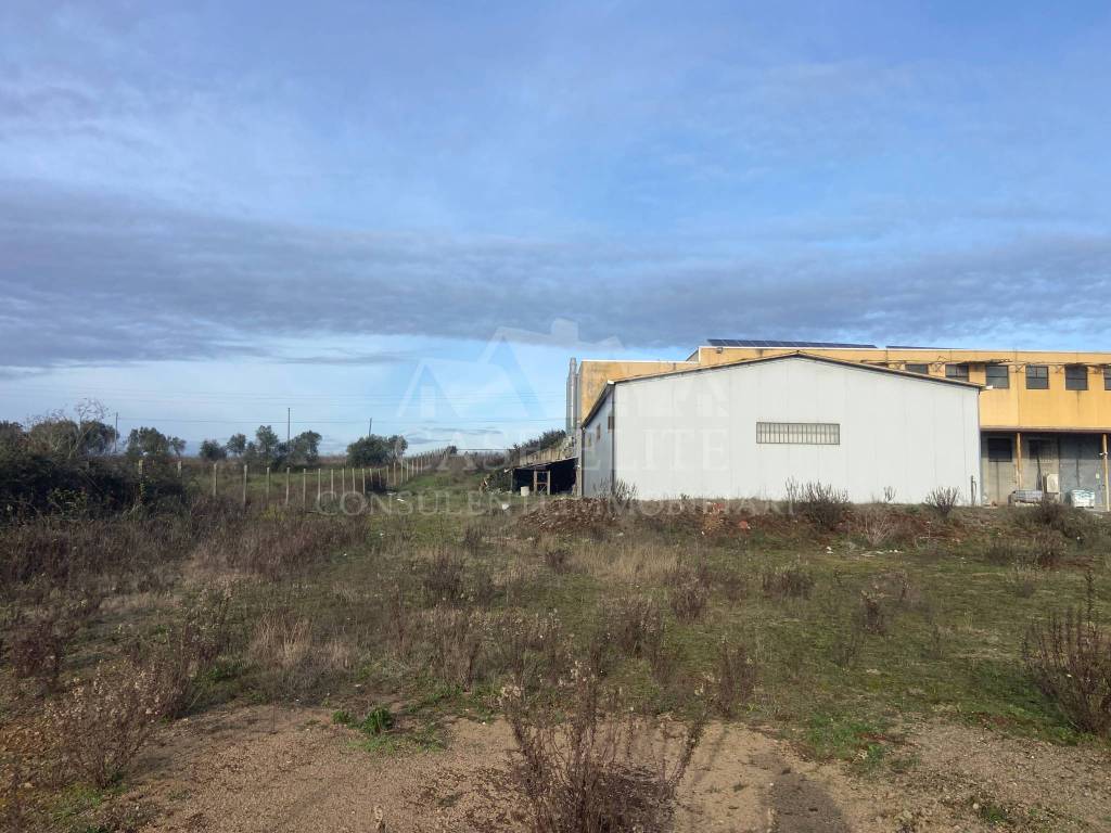 immagine annuncio 4 di 10