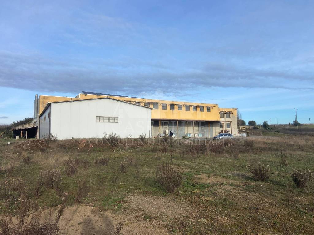 immagine annuncio 3 di 10