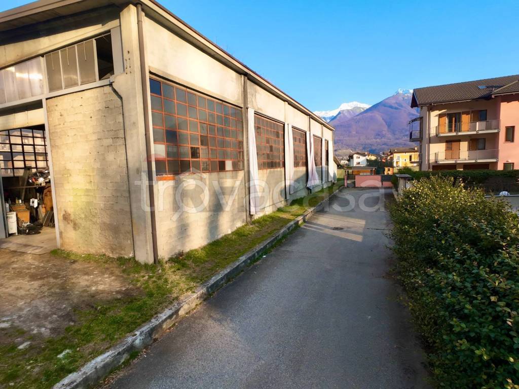 immagine annuncio 5 di 15