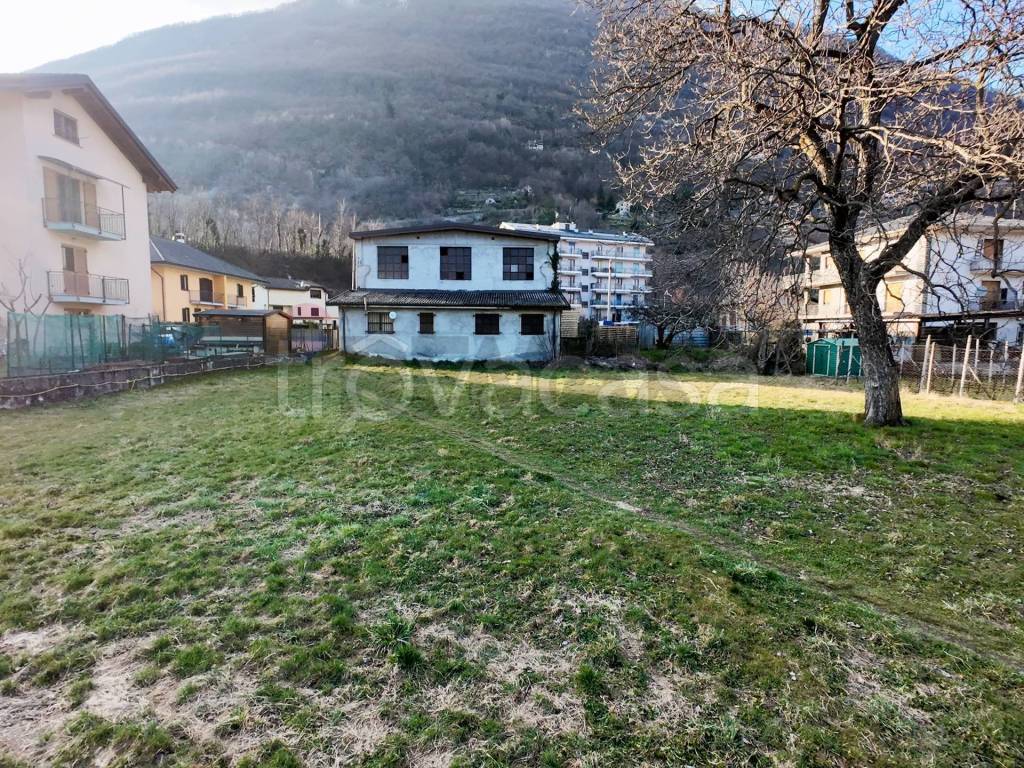 immagine annuncio 12 di 15