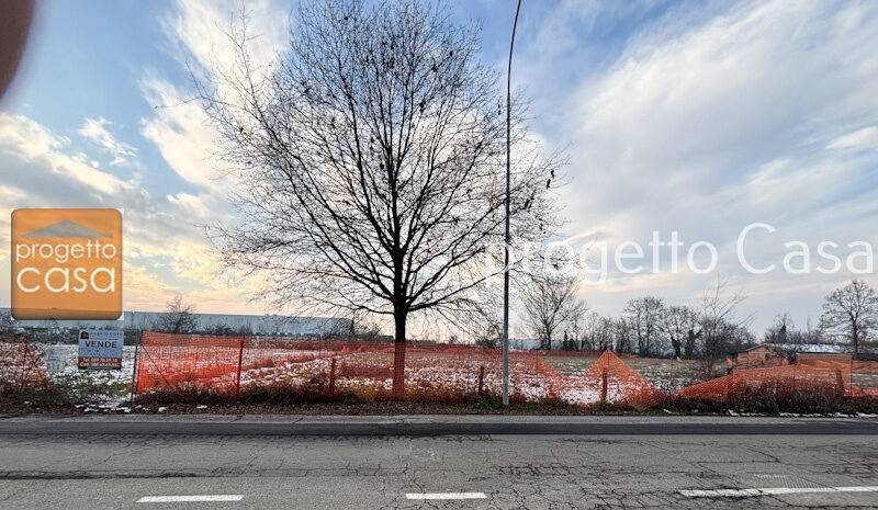 immagine annuncio 3 di 6