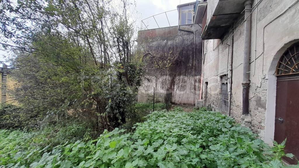 immagine annuncio 1 di 14