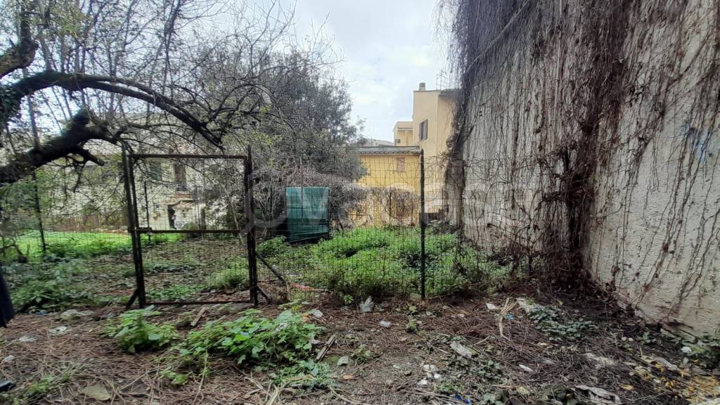 immagine annuncio 4 di 14