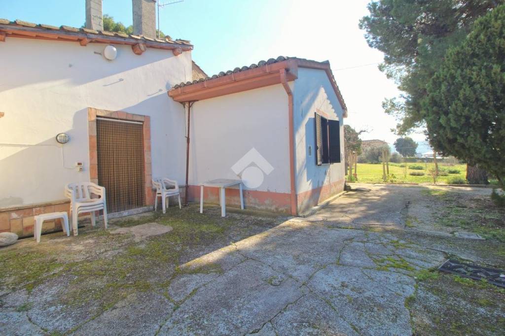 immagine annuncio 4 di 8