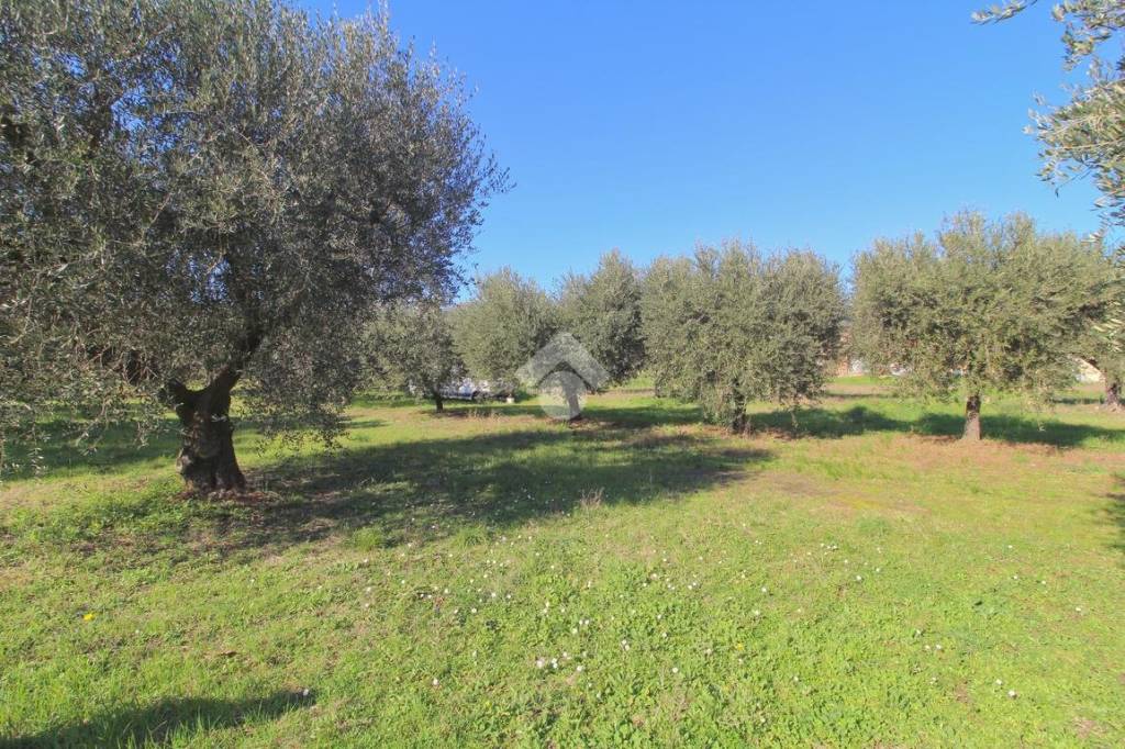 immagine annuncio 5 di 8