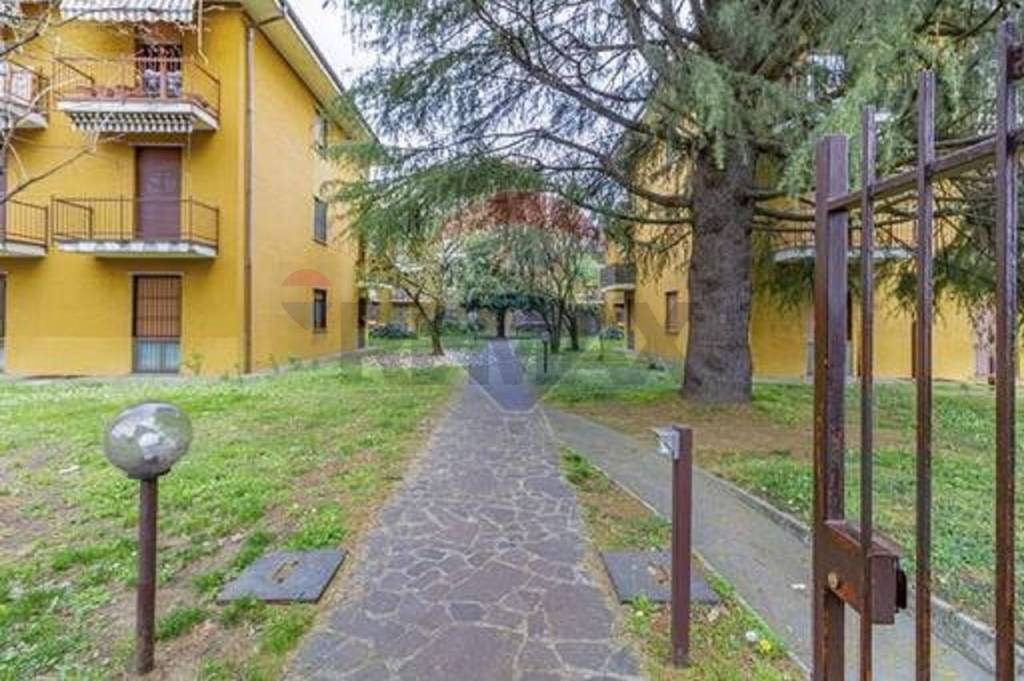 immagine annuncio 6 di 15