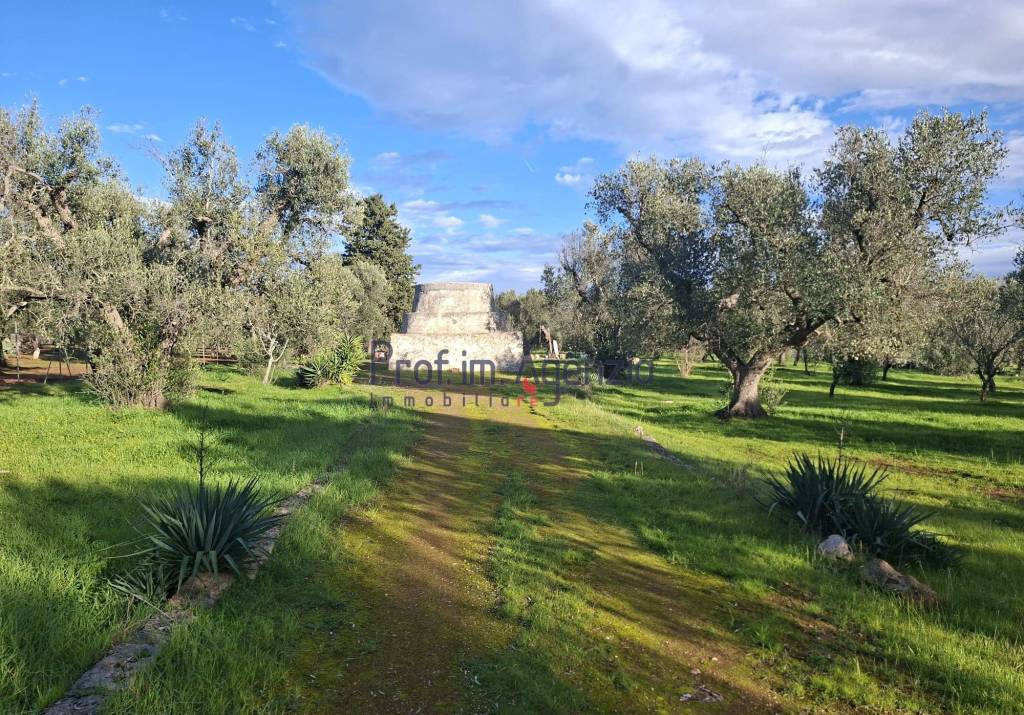 immagine annuncio 2 di 11