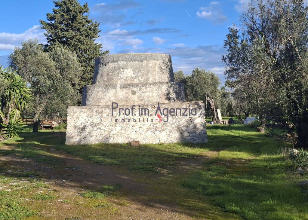 immagine annuncio 3 di 11