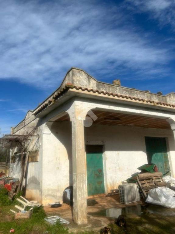 immagine annuncio 1 di 8