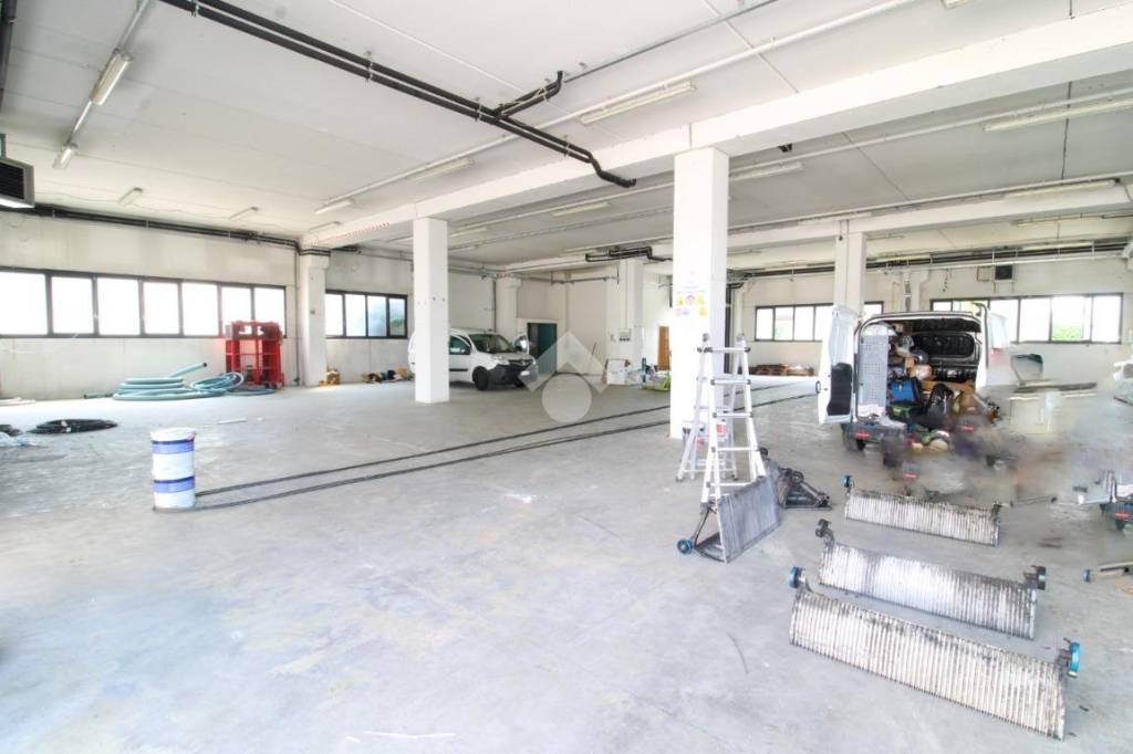 immagine annuncio 5 di 14