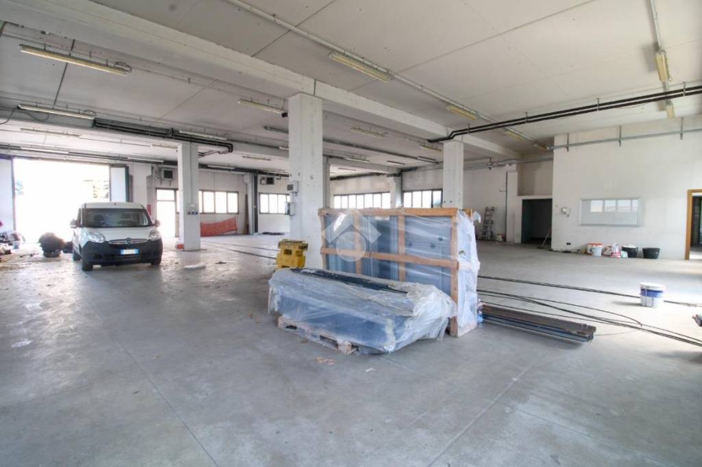 immagine annuncio 7 di 14