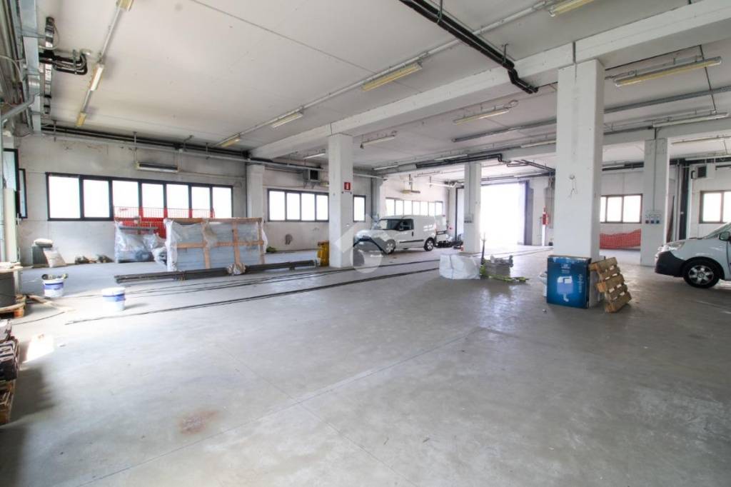 immagine annuncio 1 di 14