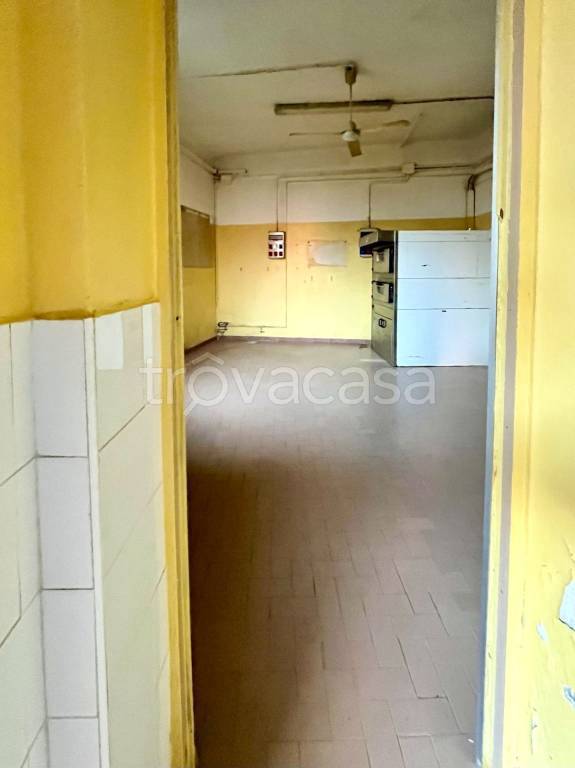 immagine annuncio 6 di 14