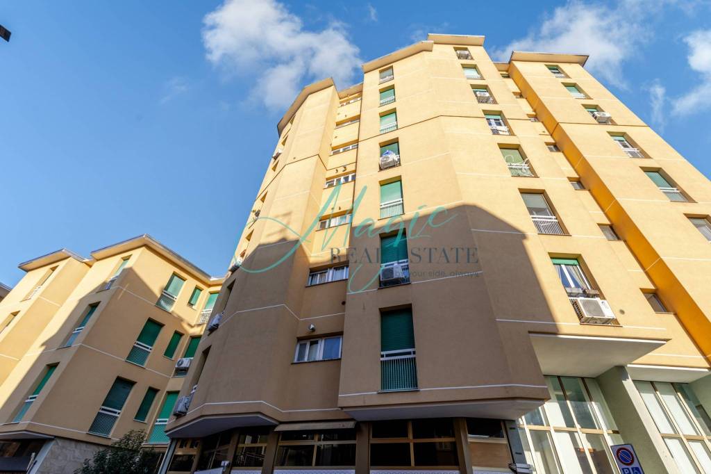 immagine annuncio 12 di 14