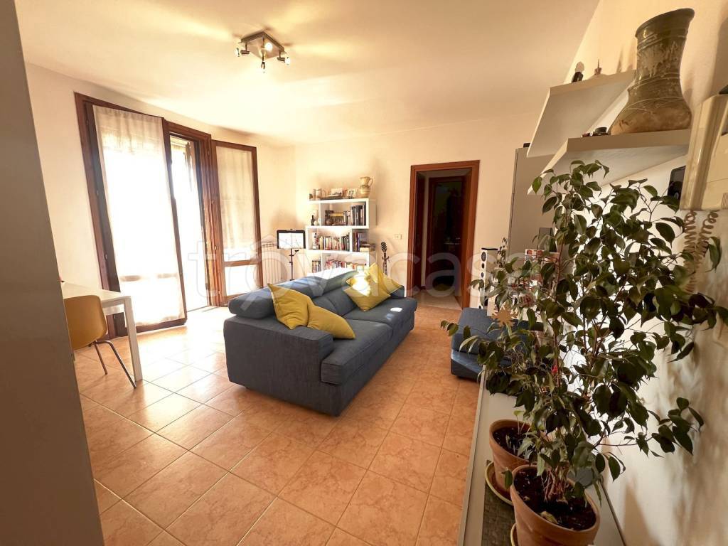 immagine annuncio 1 di 12