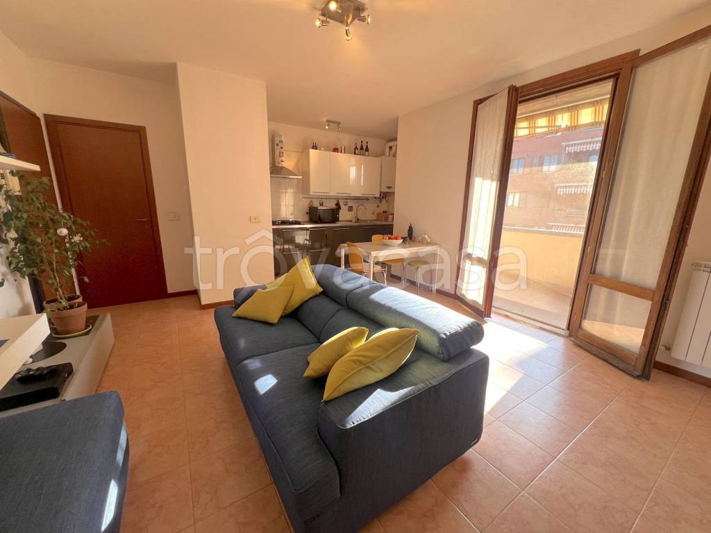 immagine annuncio 2 di 12