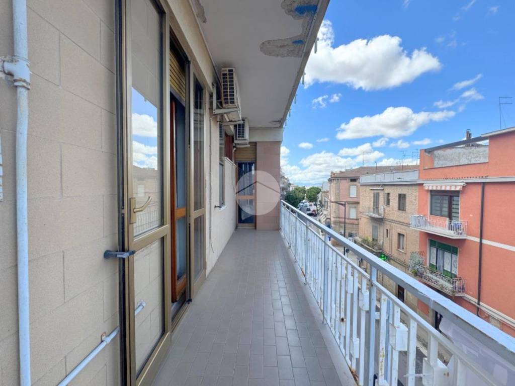 immagine annuncio 5 di 14