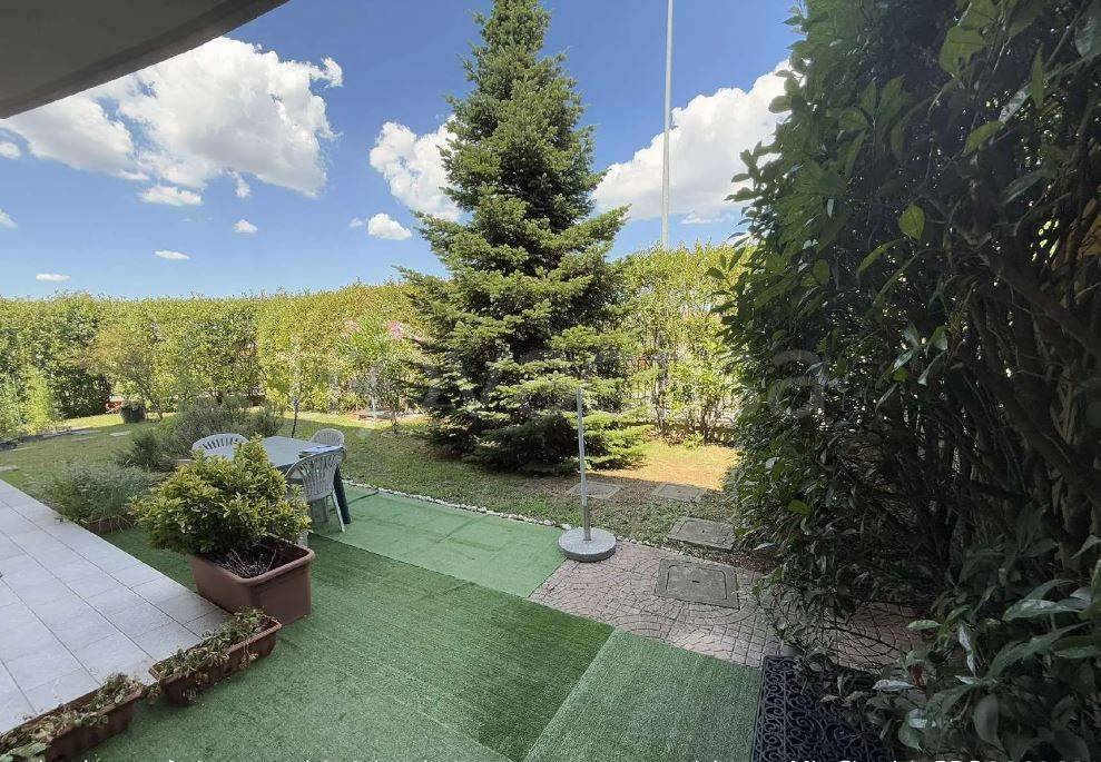 immagine annuncio 6 di 15