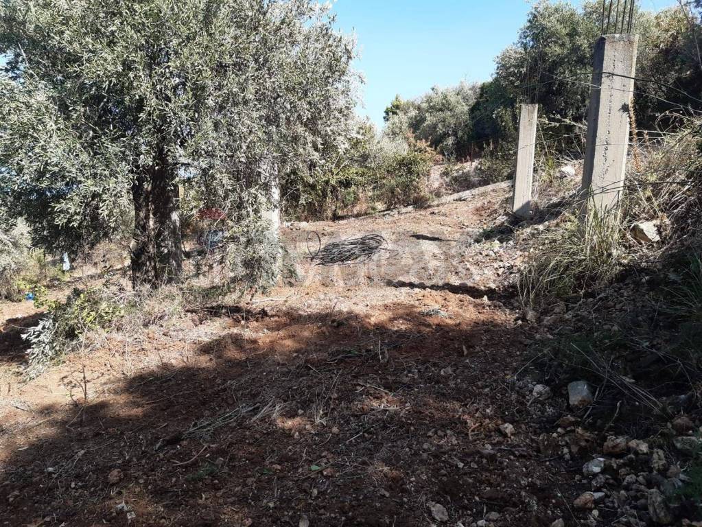 immagine annuncio 5 di 9