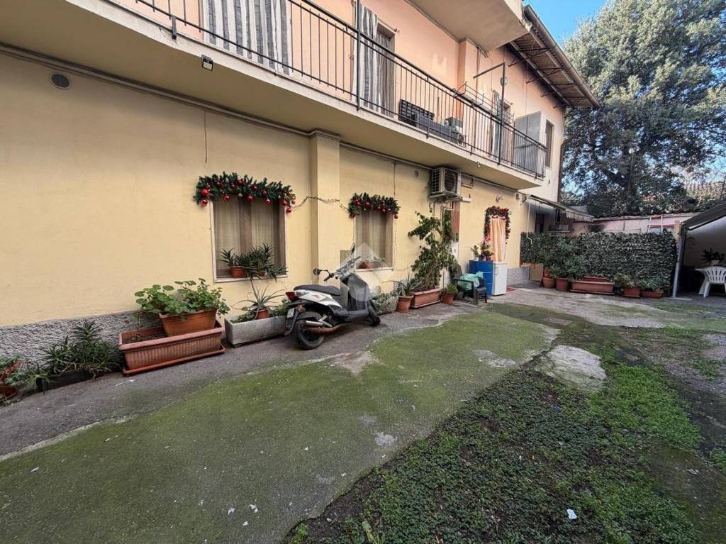 immagine annuncio 1 di 14