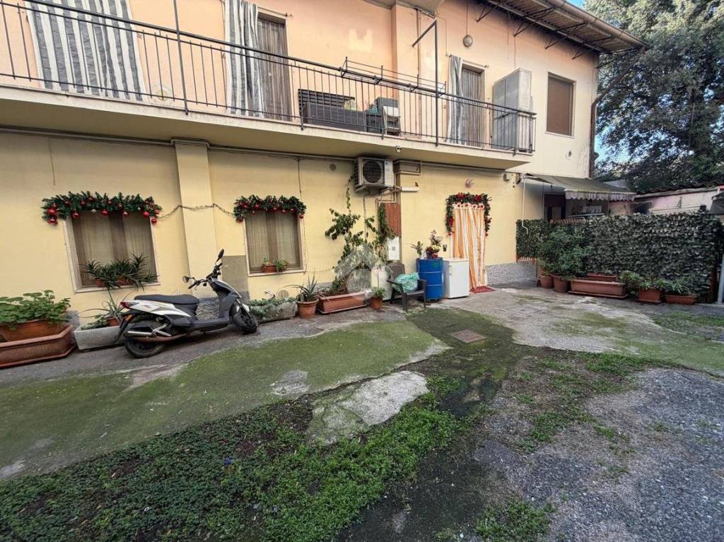 immagine annuncio 2 di 14