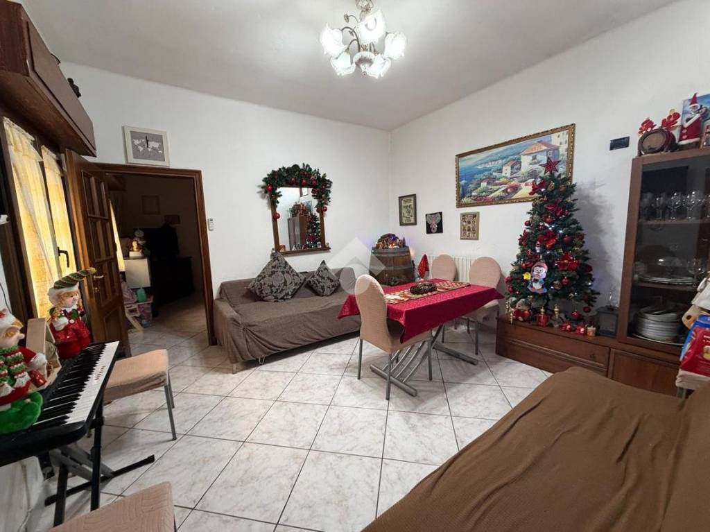 immagine annuncio 5 di 14