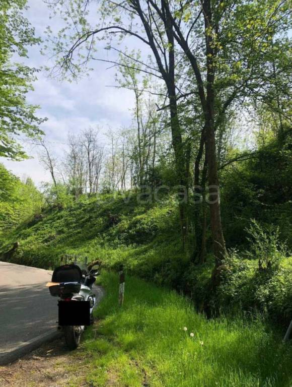 immagine annuncio 6 di 8