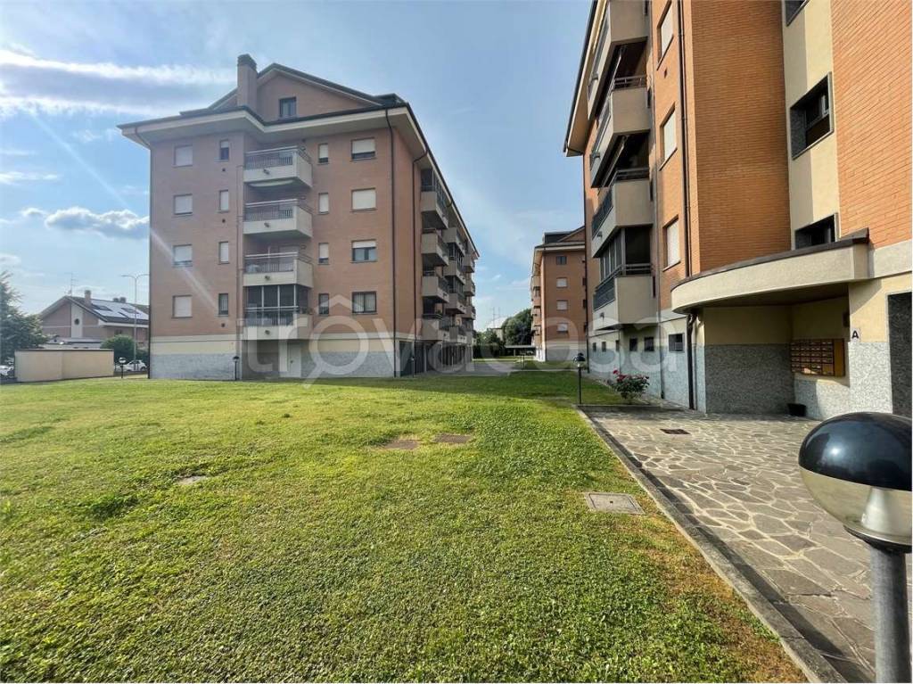 immagine annuncio 3 di 15