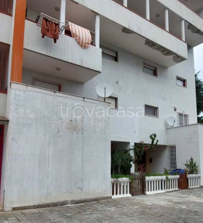 immagine annuncio 11 di 14