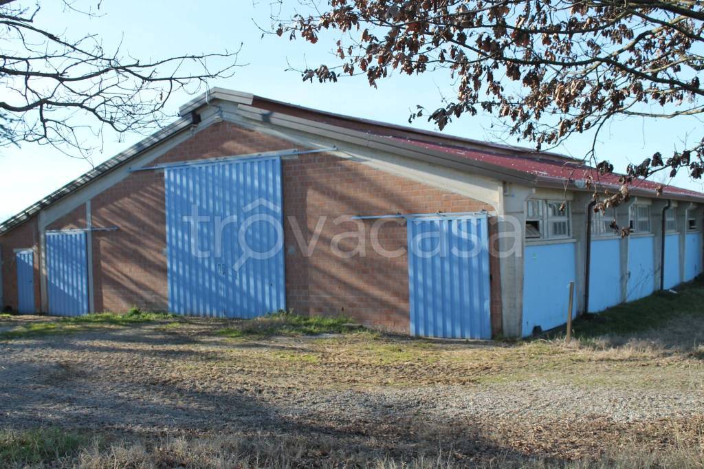 immagine annuncio 1 di 9