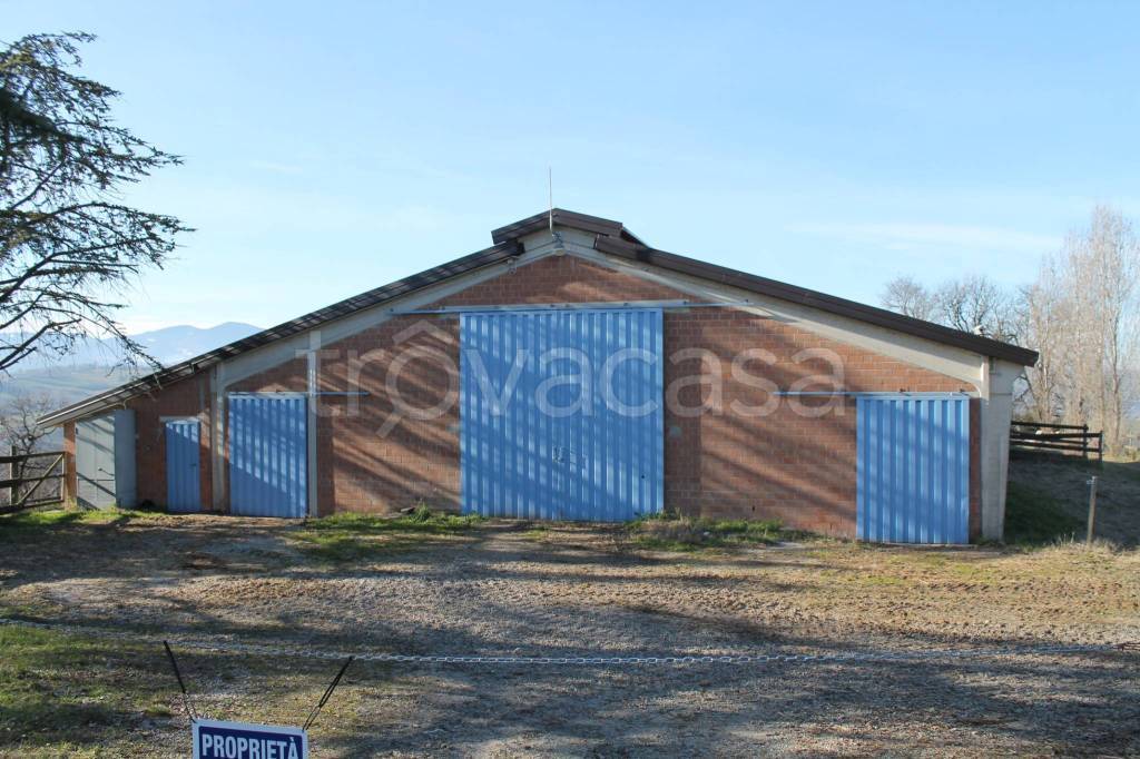 immagine annuncio 4 di 9