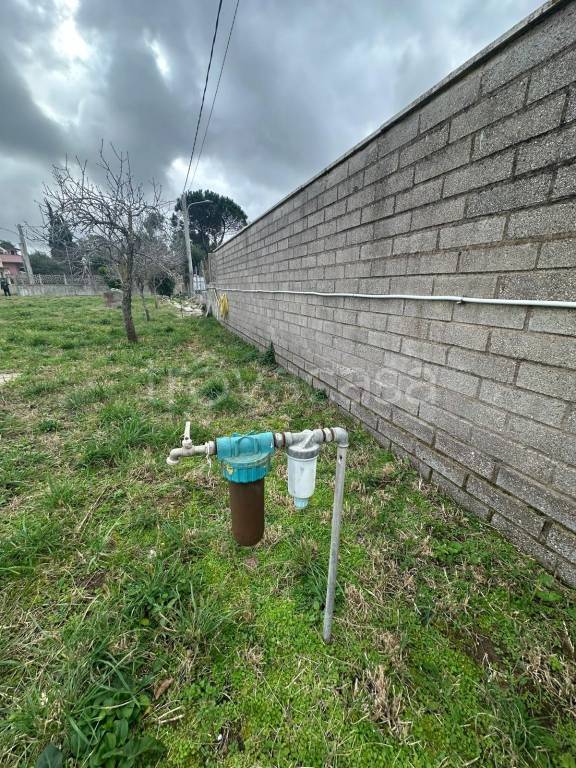 immagine annuncio 3 di 6