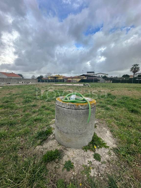 immagine annuncio 4 di 6