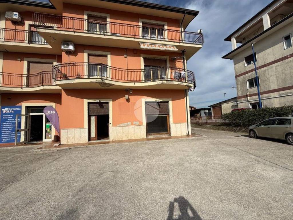 immagine annuncio 12 di 15