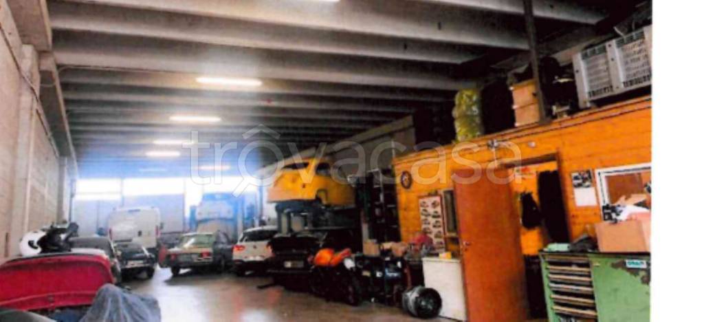 immagine annuncio 4 di 14