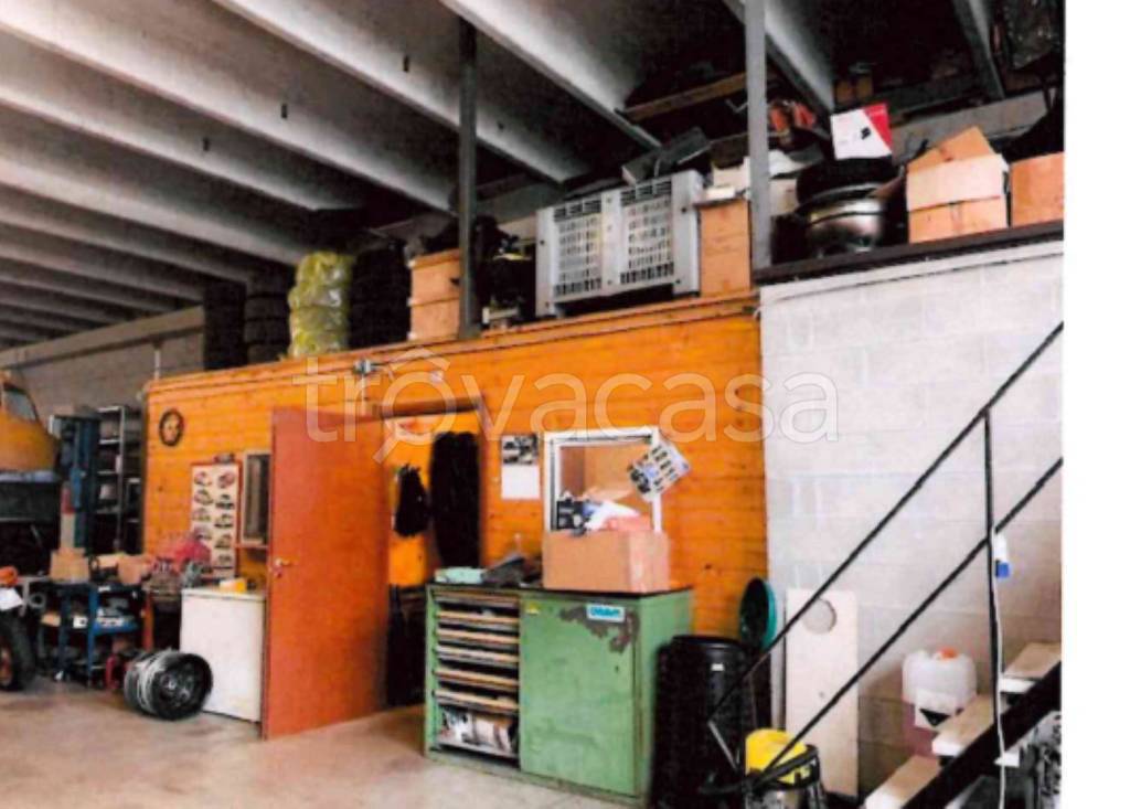 immagine annuncio 5 di 14